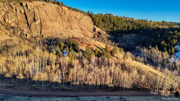 524 Buckhorn RD, Cripple Creek, CO 80813