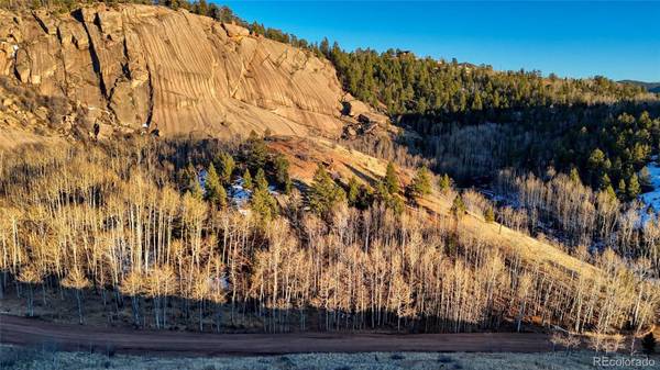 524 Buckhorn RD, Cripple Creek, CO 80813