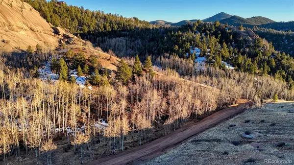 524 Buckhorn RD, Cripple Creek, CO 80813