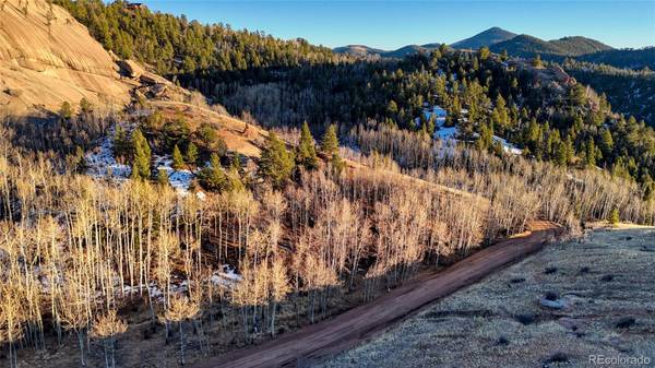 524 Buckhorn RD, Cripple Creek, CO 80813