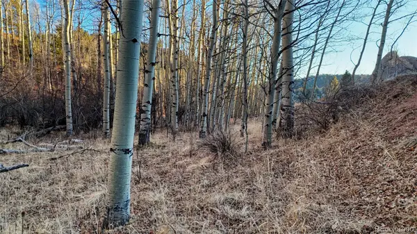 524 Buckhorn RD, Cripple Creek, CO 80813