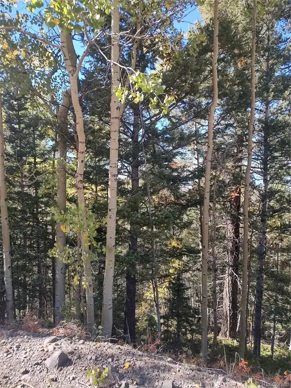 Lot 5374, Fort Garland, CO 81133