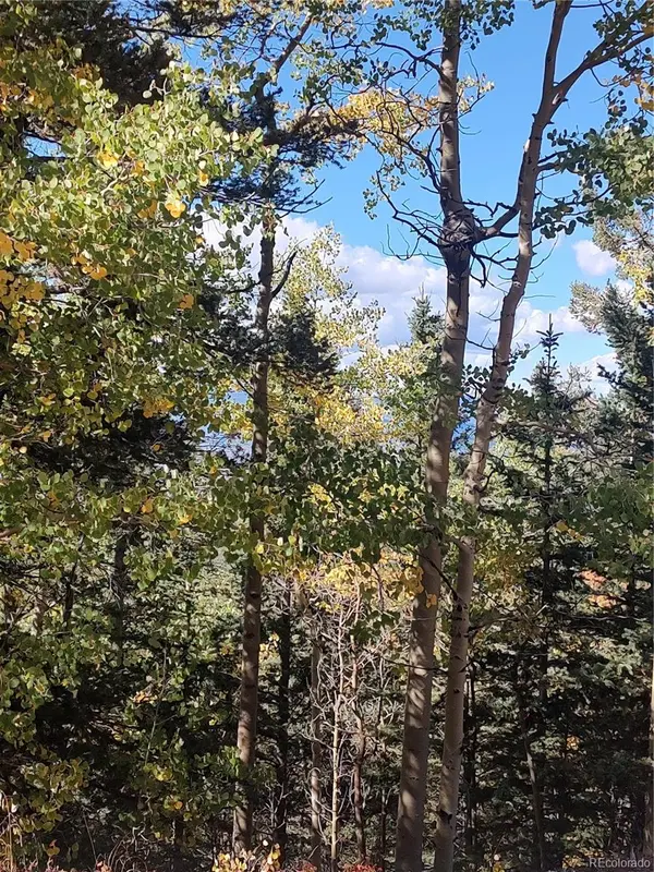 Lot 5374, Fort Garland, CO 81133