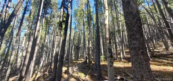 Lot 2682 & 2683 Purnell LN, Fort Garland, CO 81133