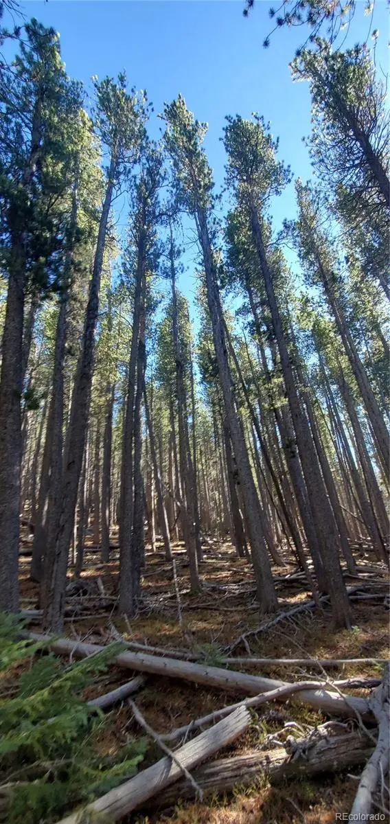 Lot 2682 & 2683 Purnell LN, Fort Garland, CO 81133