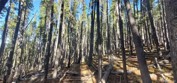 Lot 2682 & 2683 Purnell LN, Fort Garland, CO 81133