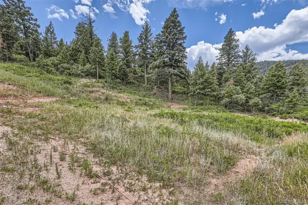 7100 Fox CIR, Larkspur, CO 80118
