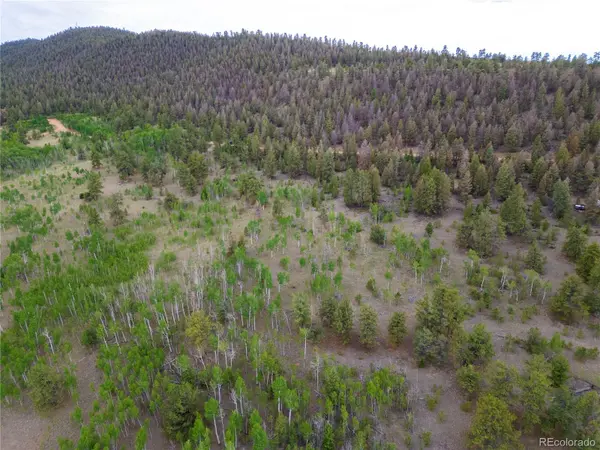 2396 Fitzsimmons RD, Hartsel, CO 80449