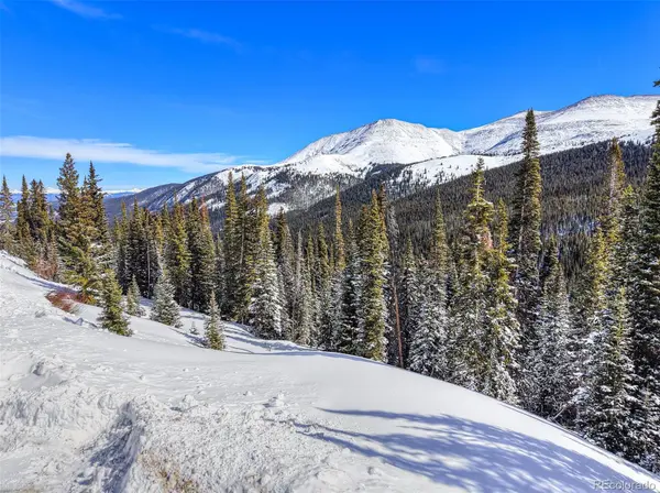 484 Carroll LN, Breckenridge, CO 80424
