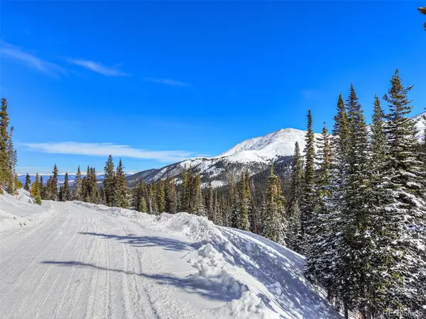 484 Carroll LN, Breckenridge, CO 80424
