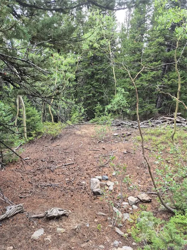 1900 County Road 128J, Nederland, CO 80466