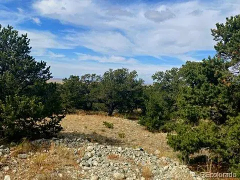 0000 Mill Run, Mosca, CO 81101