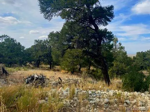 0000 Mill Run, Mosca, CO 81101