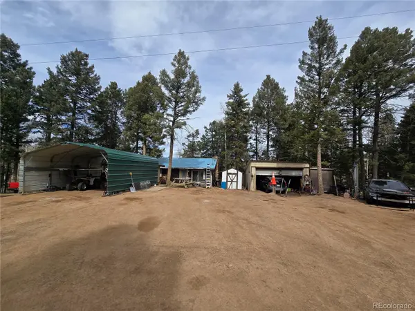 855 Will Stutley DR, Divide, CO 80814