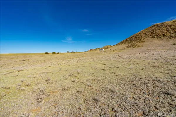 00 Willow ST, Hartsel, CO 80449