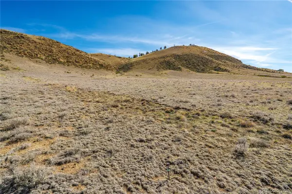 00 Willow ST, Hartsel, CO 80449