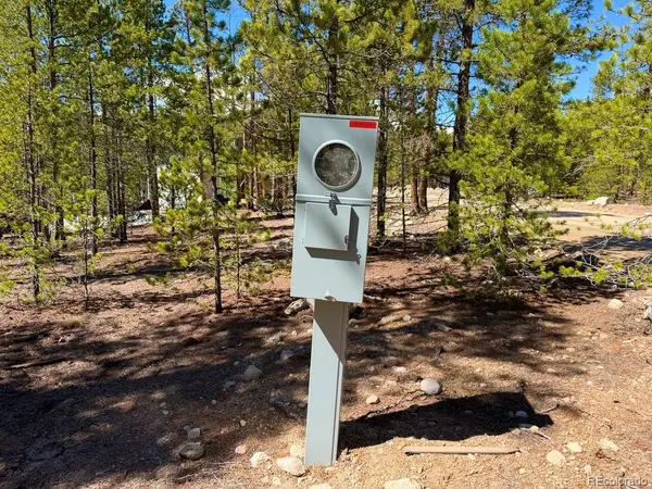 360 Peak View DR, Leadville, CO 80461