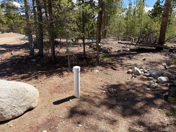 360 Peak View DR, Leadville, CO 80461