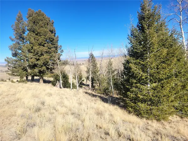 8802 Ranch RD, Hartsel, CO 80449