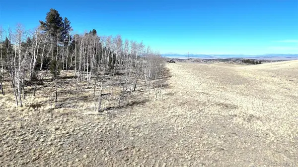 8802 Ranch RD, Hartsel, CO 80449