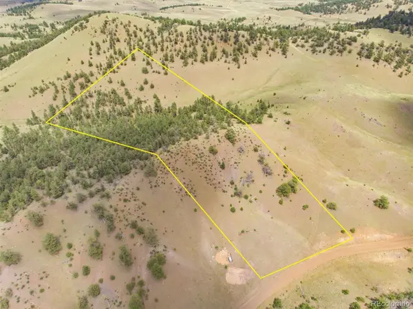 163 Keechi RD, Hartsel, CO 80449