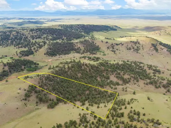 163 Keechi RD, Hartsel, CO 80449