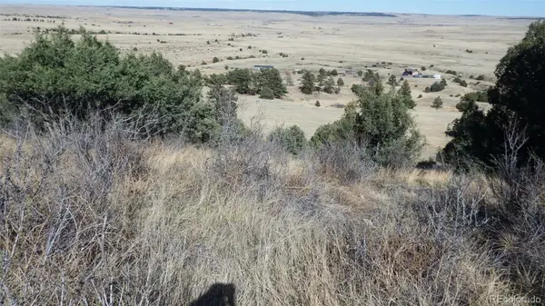 35584 Comanche Creek RD, Kiowa, CO 80117