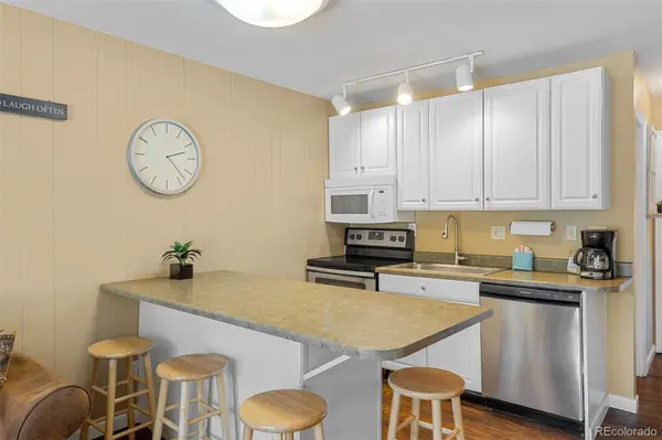1513 E Keystone RD #2964, Dillon, CO 80435