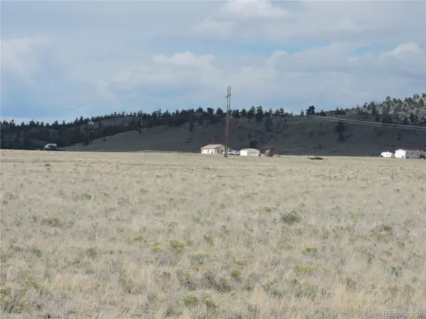 173 Routt RD, Hartsel, CO 80449