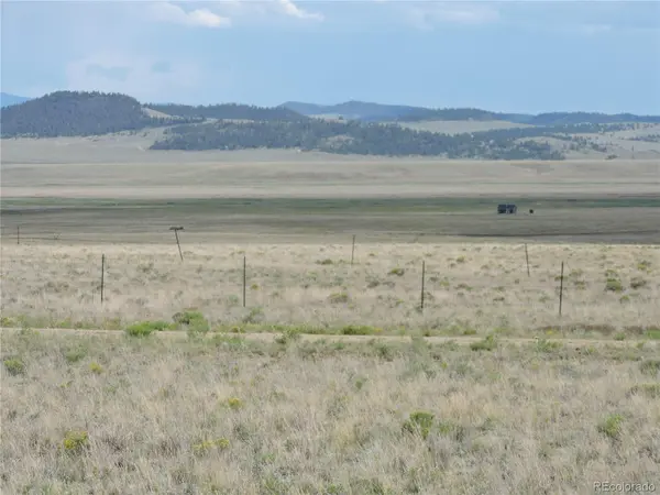 173 Routt RD, Hartsel, CO 80449