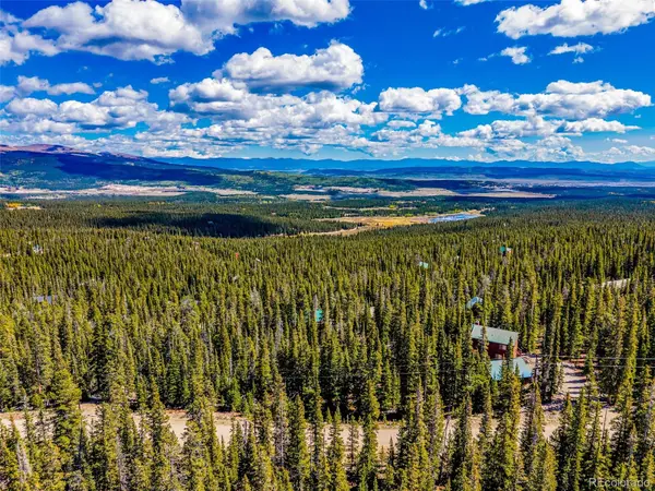245 El Lobo LN, Fairplay, CO 80440