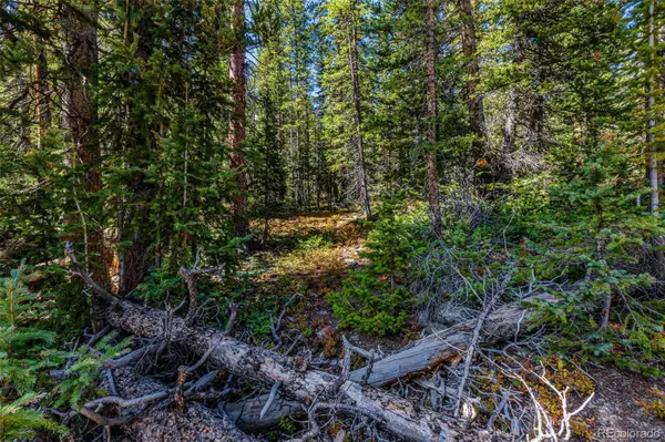 245 El Lobo LN, Fairplay, CO 80440