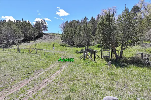 555 Glenarm AVE, Collbran, CO 81624
