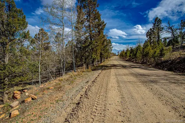 5302 Middle Fork VIS, Fairplay, CO 80440
