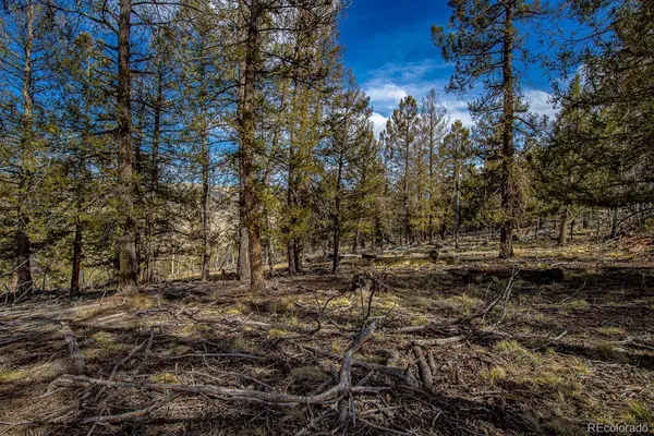 5302 Middle Fork VIS, Fairplay, CO 80440