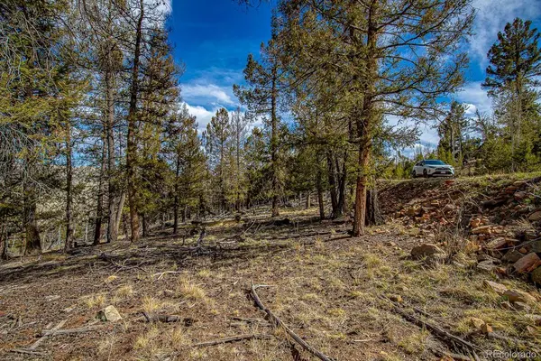 5302 Middle Fork VIS, Fairplay, CO 80440