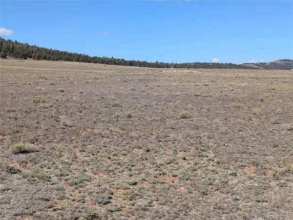 2895 Summit RD, Hartsel, CO 80449
