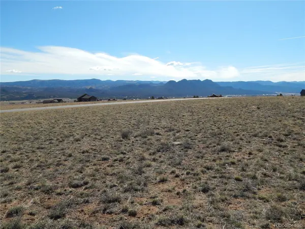 31203 Northwoods CIR, Buena Vista, CO 81211