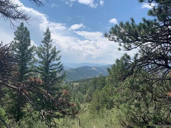 00 Douglas Mtn DR, Golden, CO 80403