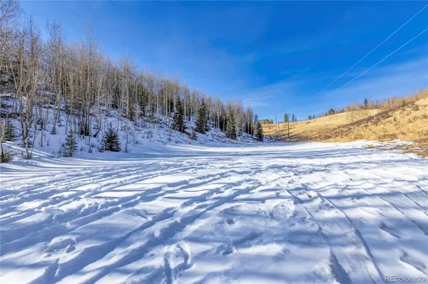 12657 S Highway 67, Cripple Creek, CO 80813