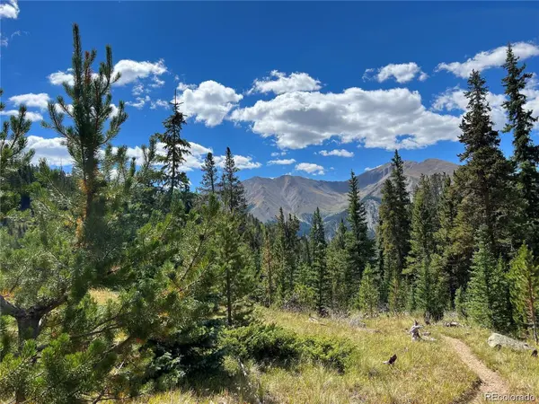 19518 Dauntless & Dauntless, Leadville, CO 81211