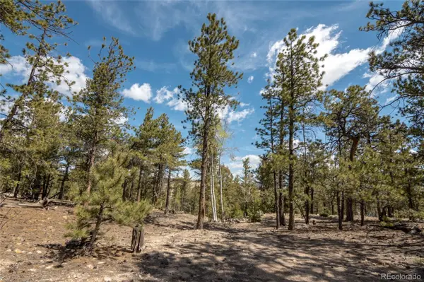 75 Whip WAY, Hartsel, CO 80449