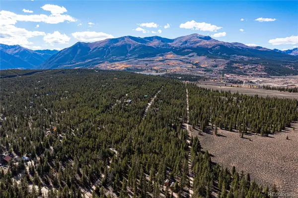 66 Ponderosa DR, Leadville, CO 80461