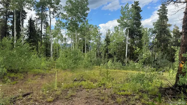 001 Church Placer RD, Central City, CO 80427