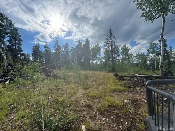 001 Church Placer RD, Central City, CO 80427