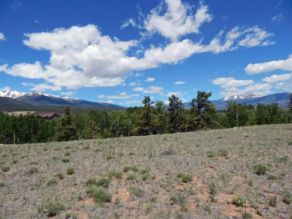 17520 County Road 306, Buena Vista, CO 81211