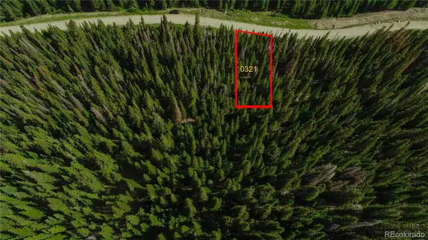 321 CR 805, Breckenridge, CO 80424