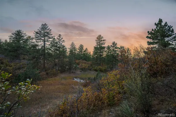11011 Sunset Oaks PL, Franktown, CO 80116