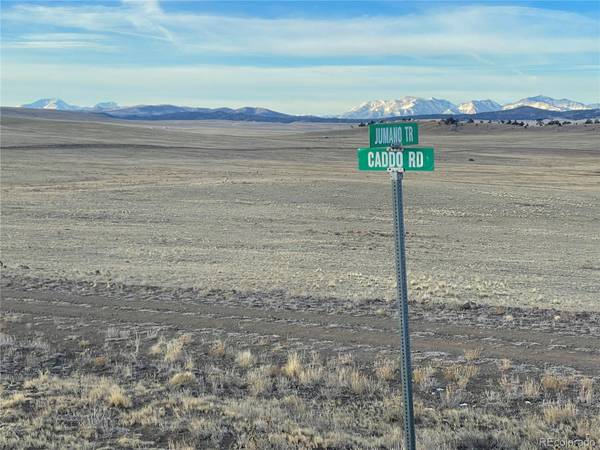 2946 Caddo RD, Hartsel, CO 80449