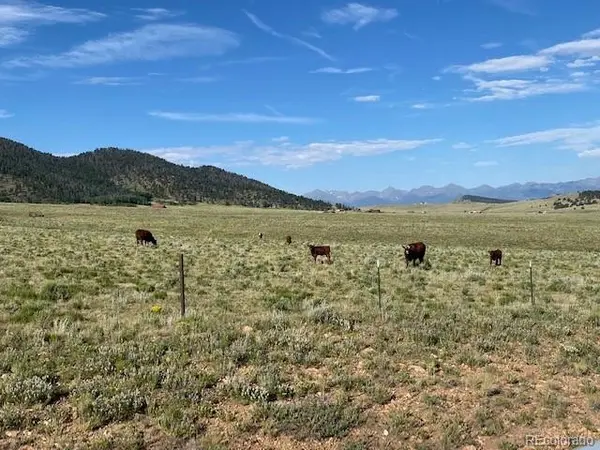 690 Eagle Gate RD, Westcliffe, CO 81252